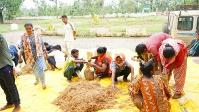 सुकमा में मशरूम उत्पादन का प्रशिक्षण बना आत्मनिर्भरता की नई राह