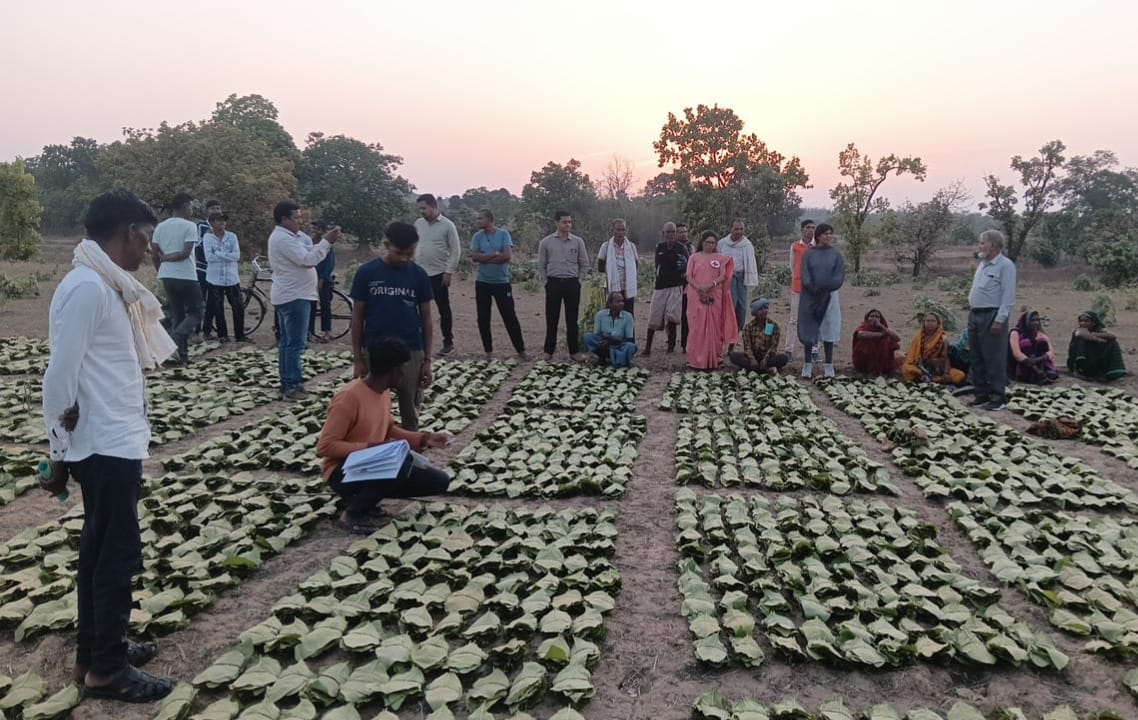 साय सरकार के सुशासन में तेन्दूपत्ता संग्राहकों को मिली आर्थिक मजबूती, 10,160 हितग्राहियों के खातों में पहुँची 1.39 करोड़ रुपये से अधिक की बोनस राशि साय सरकार के सुशासन में तेन्दूपत्ता संग्राहकों को मिली आर्थिक मजबूती, 10,160 हितग्राहियों के खातों में पहुँची 1.39 करोड़ रुपये से अधिक की बोनस राशि