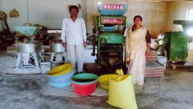 धमतरी में विकास की नई सुबह: कमार समुदाय का सशक्तिकरण और अंतर्राज्यीय व्यापार का नया केंद्र बनता ‘बोरई’ धमतरी में विकास की नई सुबह: कमार समुदाय का सशक्तिकरण और अंतर्राज्यीय व्यापार का नया केंद्र बनता ‘बोरई’