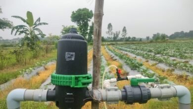 सूक्ष्म सिंचाई योजना से खेती बनी अधिक लाभकारी, ड्रिप सिंचाई अपनाकर किसान ने बढ़ाया सब्जी उत्पादन
