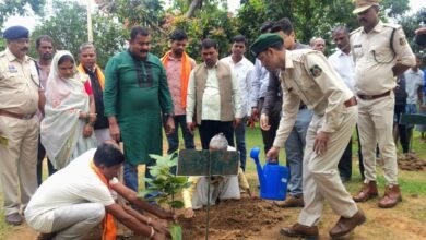 एक पेड़ माँ के नाम अभियान से बदली उजड़ी वन भूमि की तस्वीर
