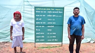 संरक्षित खेती और उद्यानिकी से जशपुर के किसान अनारथ साय ने लिखी आत्मनिर्भरता की नई कहानी संरक्षित खेती और उद्यानिकी से जशपुर के किसान अनारथ साय ने लिखी आत्मनिर्भरता की नई कहानी