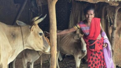 बस्तर के खेतों में बही समृद्धि की बयार