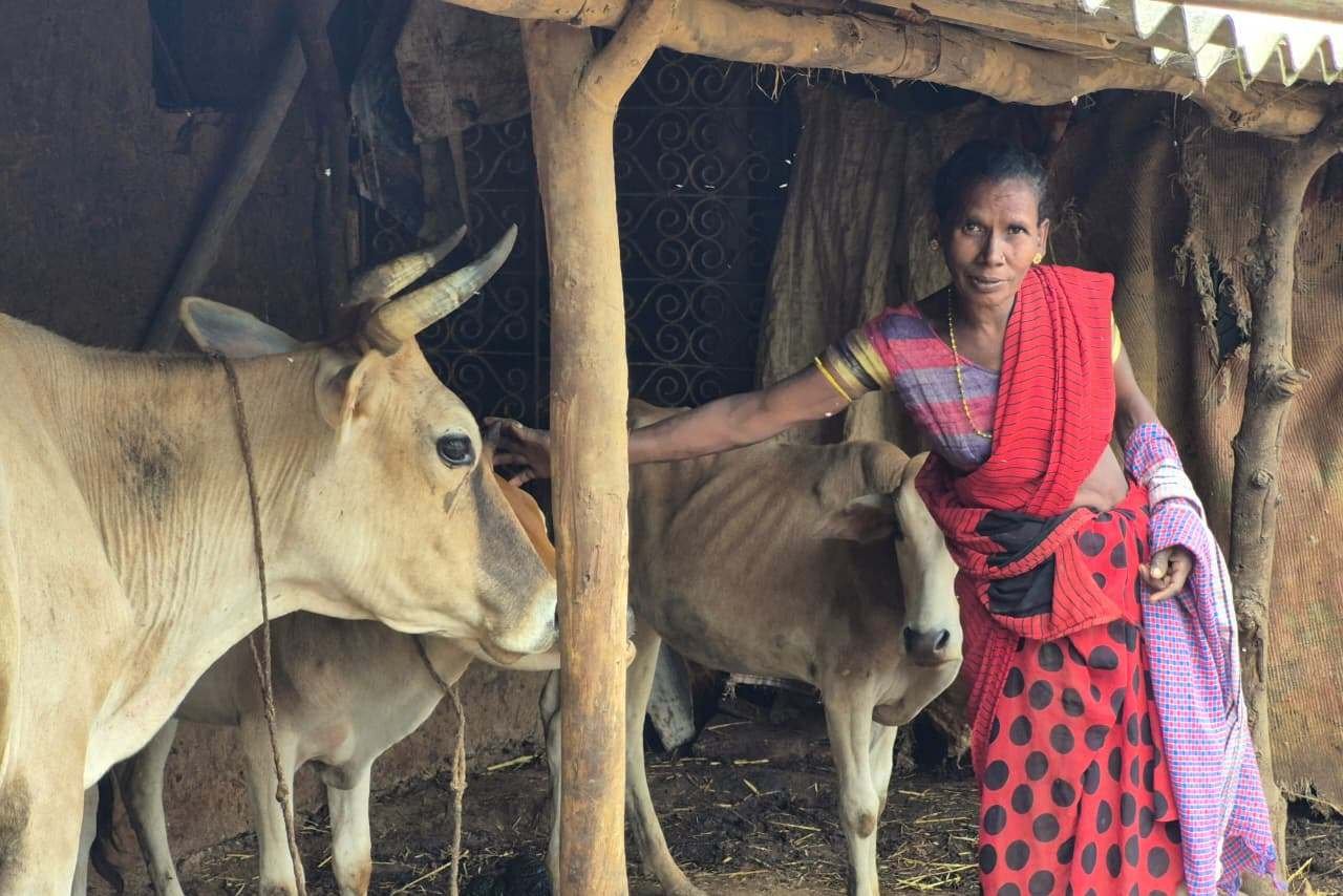बस्तर के खेतों में बही समृद्धि की बयार बस्तर के खेतों में बही समृद्धि की बयार