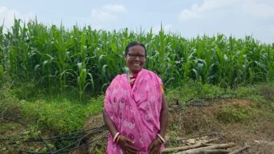बहनों का मान, विष्णु भैया का सम्मान—महिलाओं के सशक्तिकरण से समृद्ध छत्तीसगढ़ महान बहनों का मान, विष्णु भैया का सम्मान—महिलाओं के सशक्तिकरण से समृद्ध छत्तीसगढ़ महान