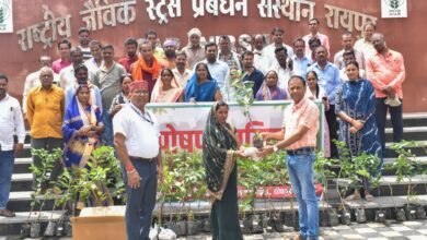 आईसीएआर-एनआईबीएसएम द्वारा ‘पोषण वाटिका’ पर प्रशिक्षण कार्यक्रम आयोजित