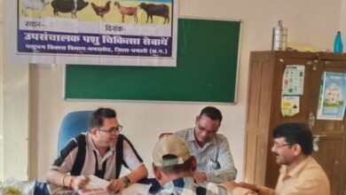 पशुपालन केसीसी से धमतरी के 93 पशुपालकों को मिली 98.62 लाख की वित्तीय संजीवनी पशुपालन केसीसी से धमतरी के 93 पशुपालकों को मिली 98.62 लाख की वित्तीय संजीवनी