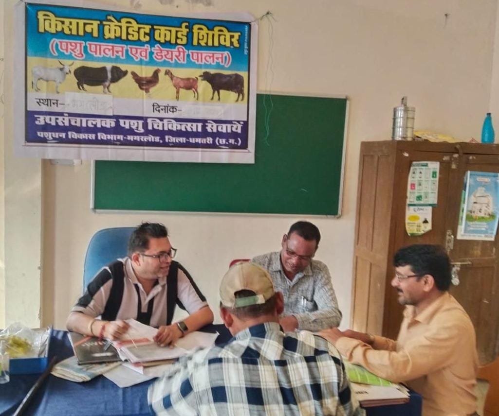 पशुपालन केसीसी से धमतरी के 93 पशुपालकों को मिली 98.62 लाख की वित्तीय संजीवनी पशुपालन केसीसी से धमतरी के 93 पशुपालकों को मिली 98.62 लाख की वित्तीय संजीवनी