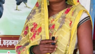 मेहनत, हुनर और सरकारी सहयोग से बदली कमलेश की जिंदगी, बनीं ‘लखपति दीदी’