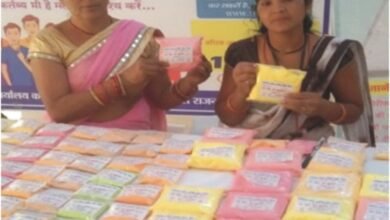 लखपति दीदी डोंगरगढ़ की दिनेश्वरी सोरी ने ‘बिहान’ योजना से बदली तकदीर