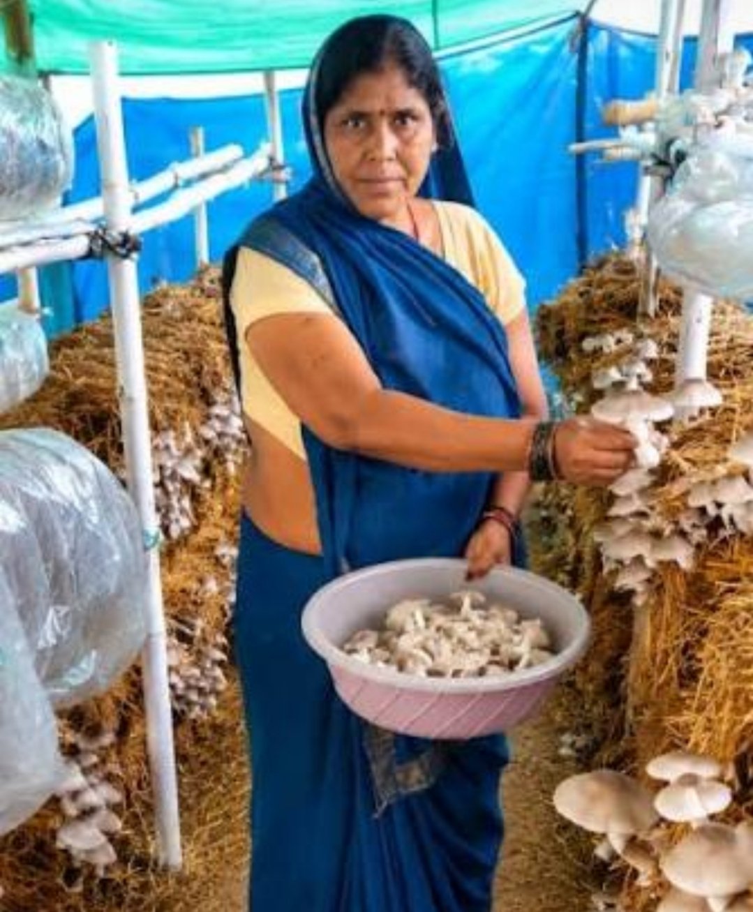 आत्मनिर्भरता की नई मिसाल- खेतों से मशरूम उत्पादन तक मिथिला दीदी ने लिखी सफलता की नई कहानी