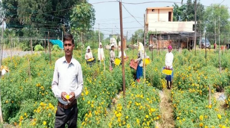 फ्लोरीकल्चर हब प्रोत्साहन योजना से घनश्याम साहू की खेती को मिली नई दिशा फ्लोरीकल्चर हब प्रोत्साहन योजना से घनश्याम साहू की खेती को मिली नई दिशा