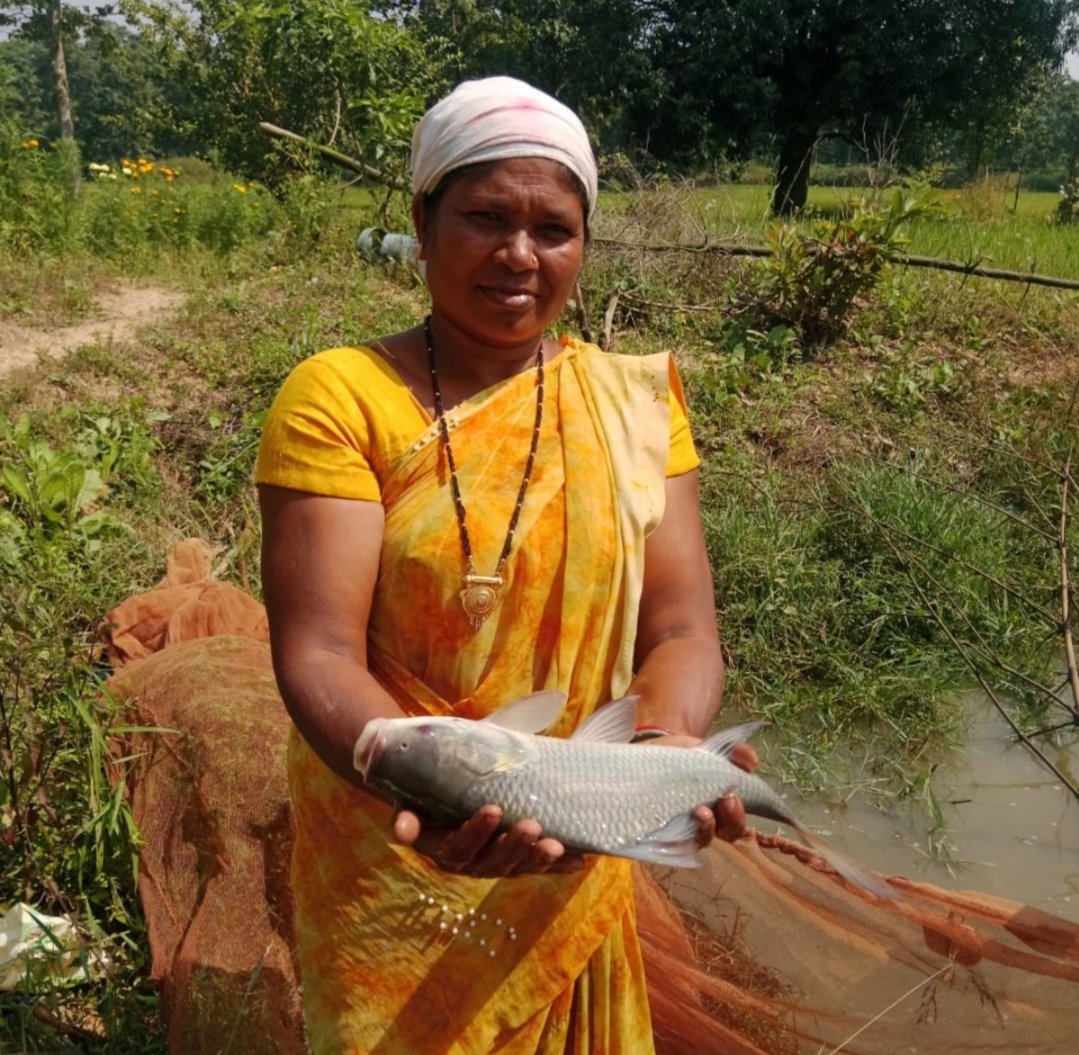 आजीविका डबरियों से महिलाओं की आय बढ़ाने की पहल