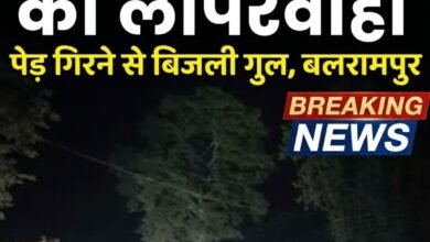 बलरामपुर: राजपुर में बिजली विभाग की बड़ी लापरवाही, रात के अंधेरे में विशालकाय पेड़ काटने से घंटों गुल रही बिजली